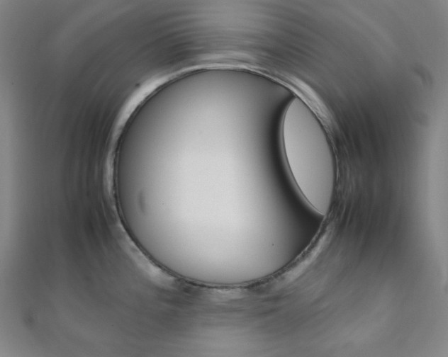 X0000112111196200908041145