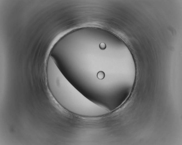 X0000112111200200908041145
