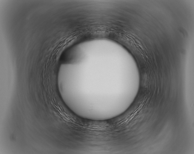 X0000112111201200908041144