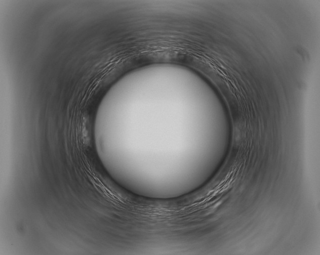 X0000112111202200908041144