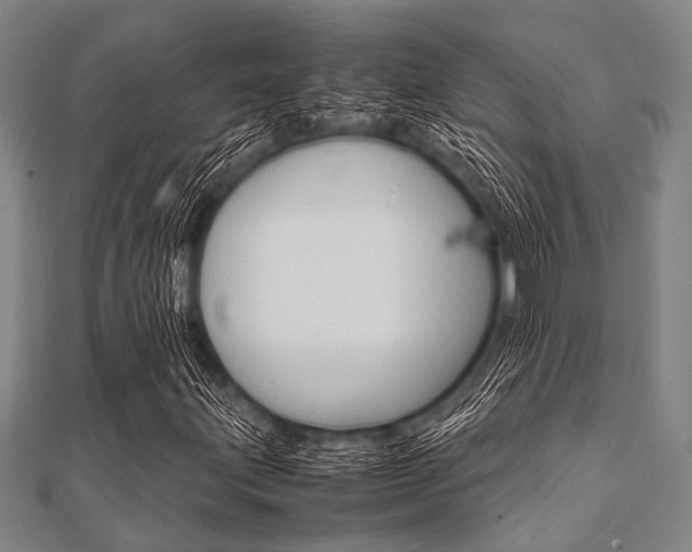 X0000112111203200908041144