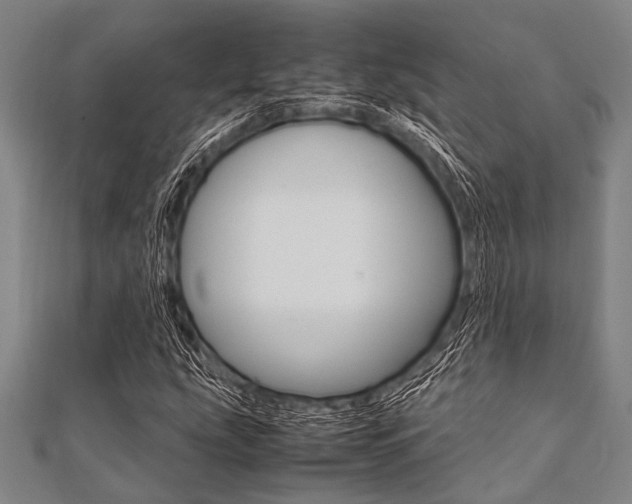 X0000112111207200908041144