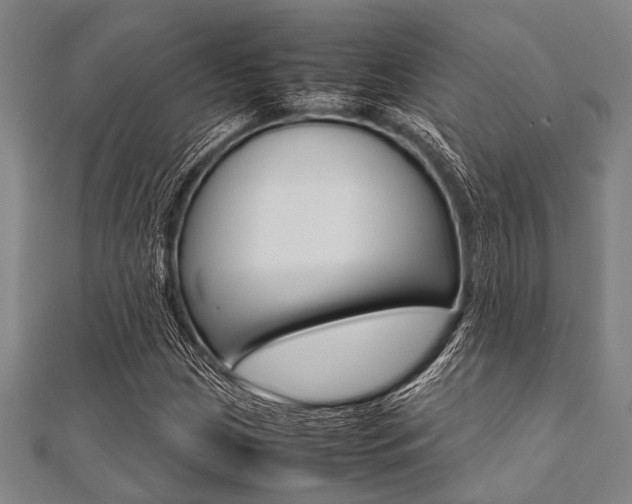 X0000112111209200908041144