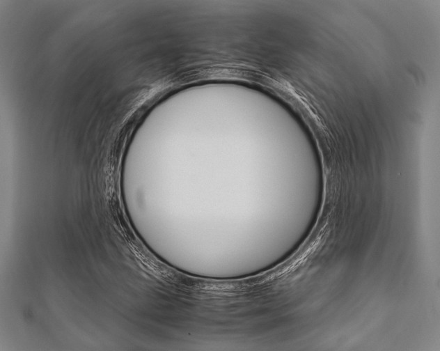 X0000112111211200908041144