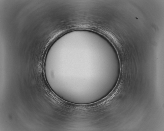 X0000112111212200908041144