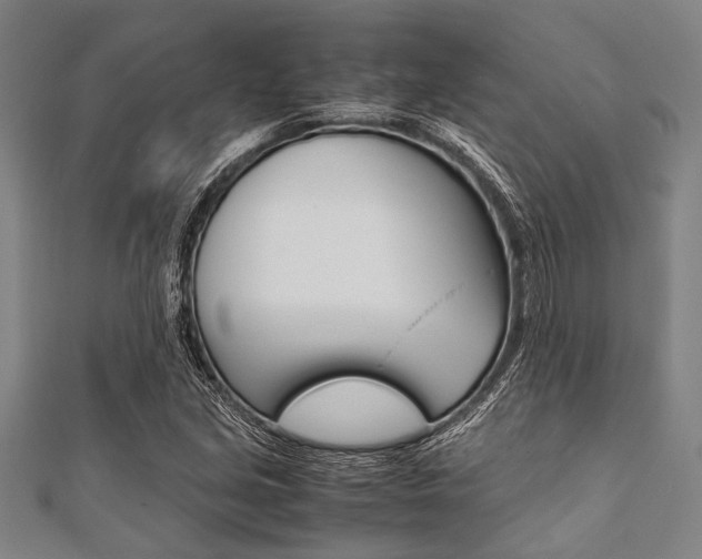 X0000112111213200908041144