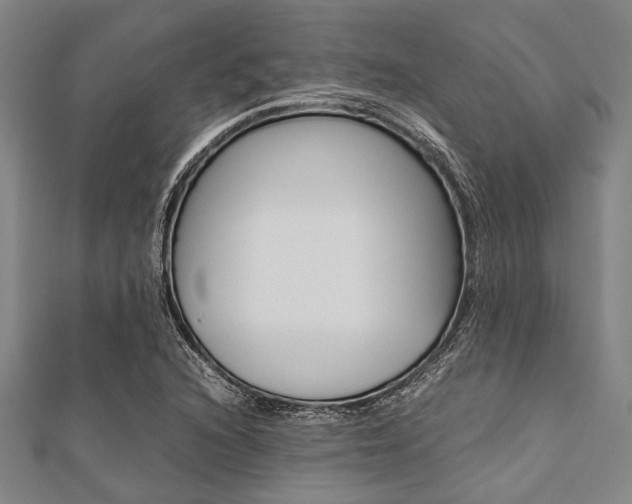 X0000112111216200908041144