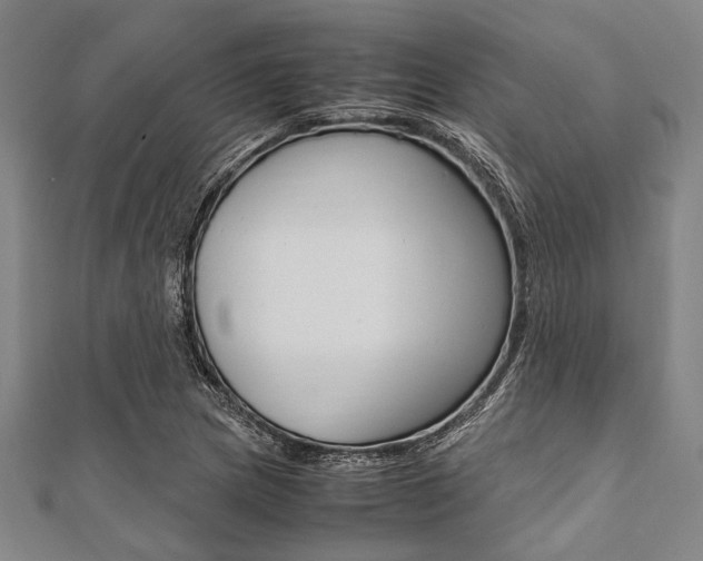 X0000112111217200908041144