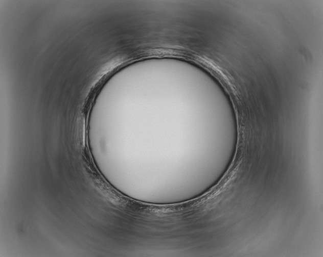 X0000112111219200908041144