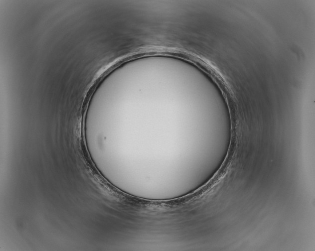X0000112111220200908041144