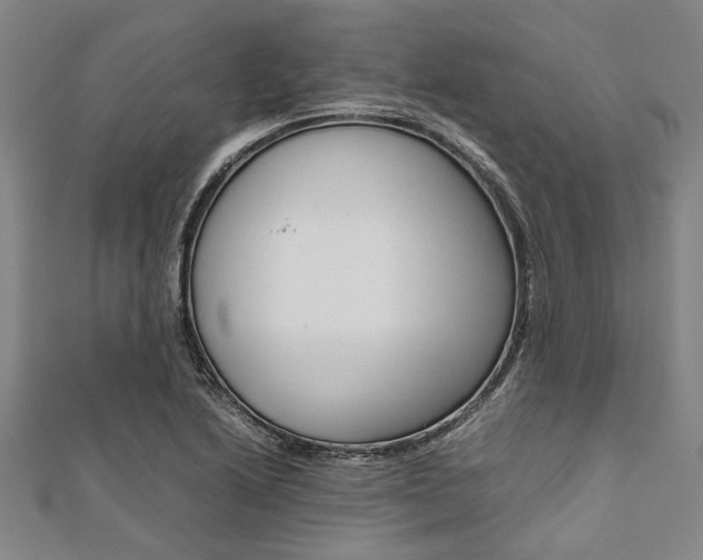 X0000112111222200908041144