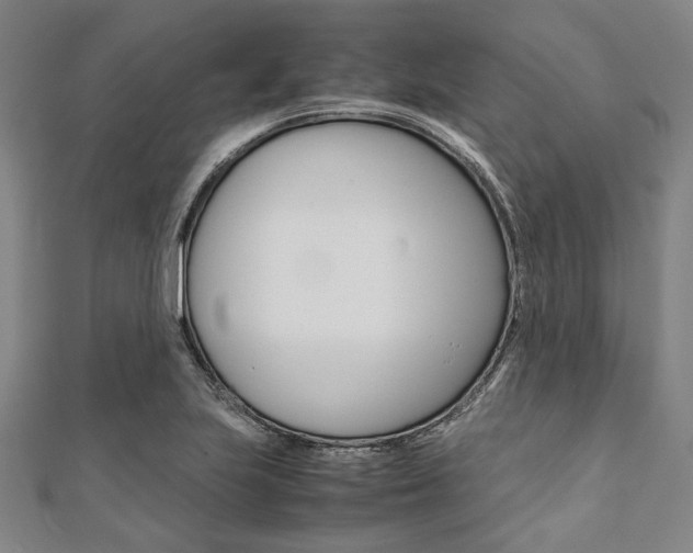 X0000112111223200908041144