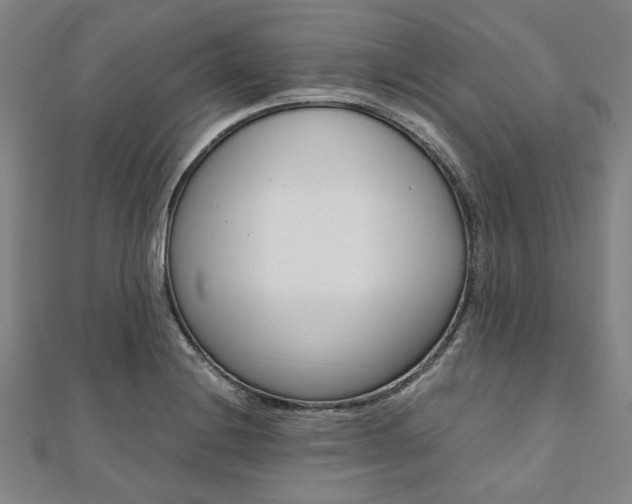 X0000112111228200908041145