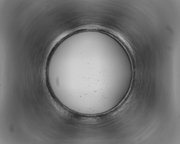 X0000112111229200908041145