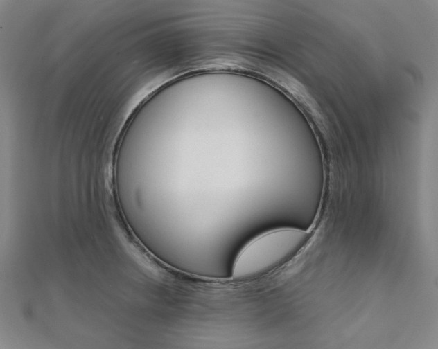 X0000112111234200908041145