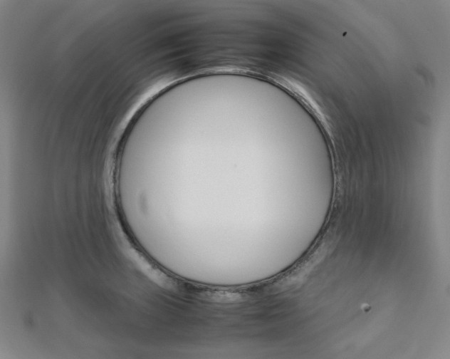 X0000112111235200908041145