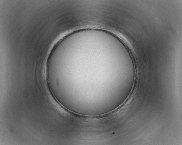 X0000112111238200908041145