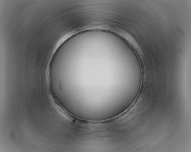 X0000112111242200908041145