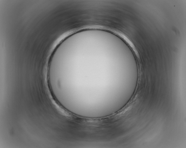 X0000112111245200908041145