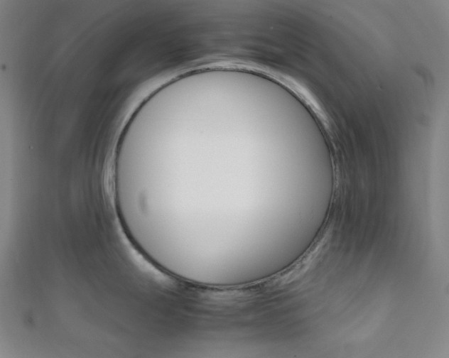X0000112111247200908041145