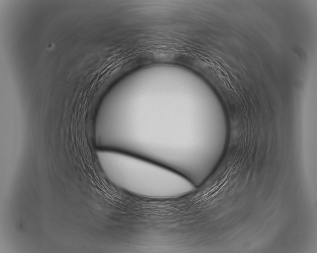 X0000112111249200908041144