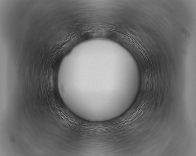 X0000112111250200908041144