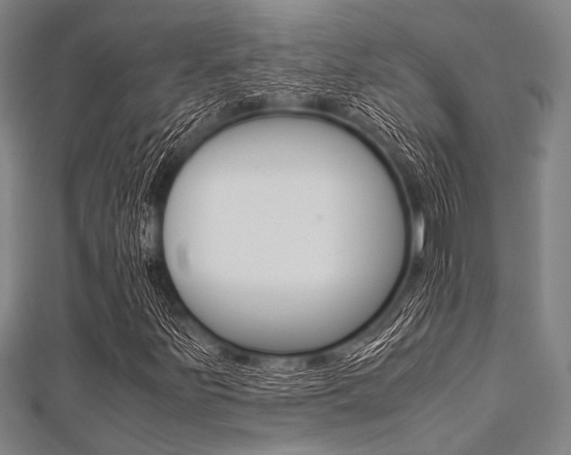 X0000112111251200908041144