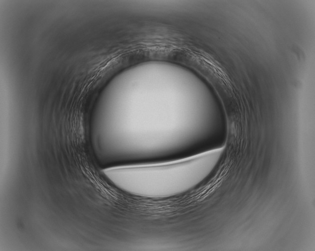 X0000112111252200908041144
