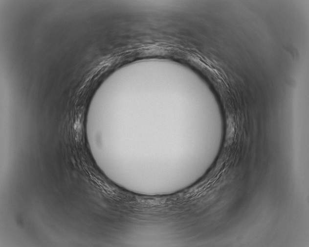 X0000112111254200908041144