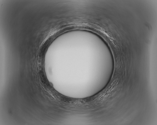 X0000112111255200908041144