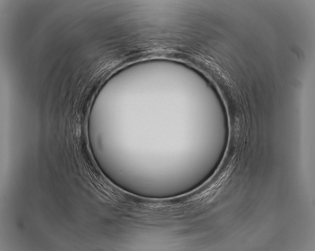X0000112111257200908041144