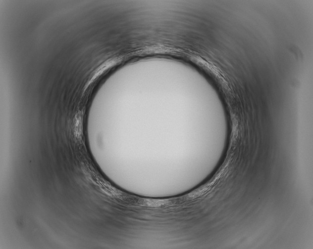 X0000112111258200908041144