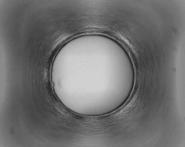 X0000112111259200908041144