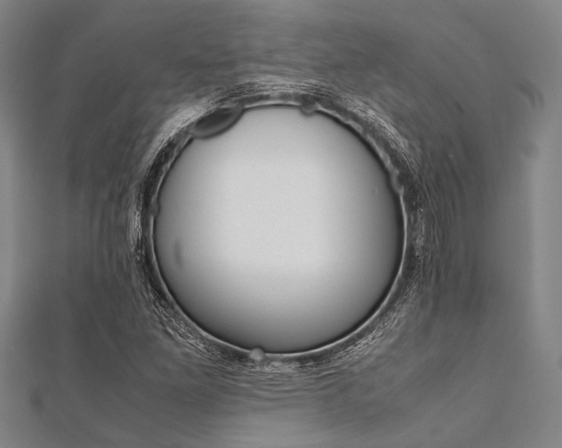 X0000112111261200908041144