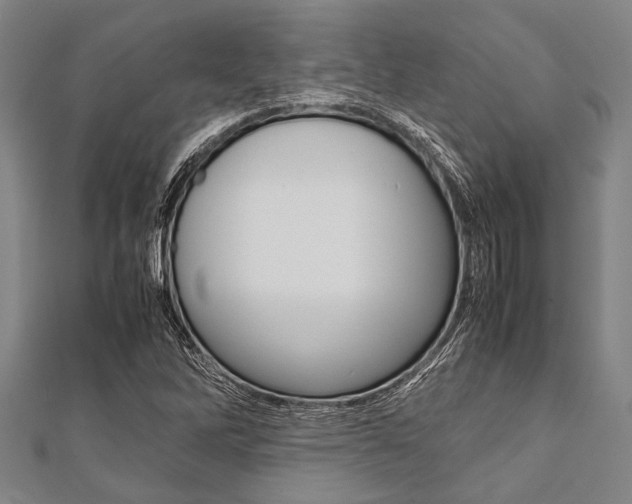 X0000112111262200908041144