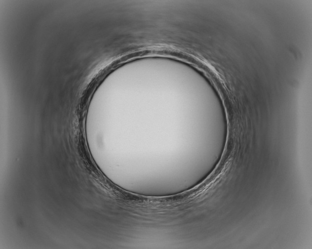 X0000112111263200908041144