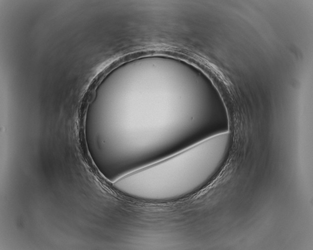 X0000112111264200908041144