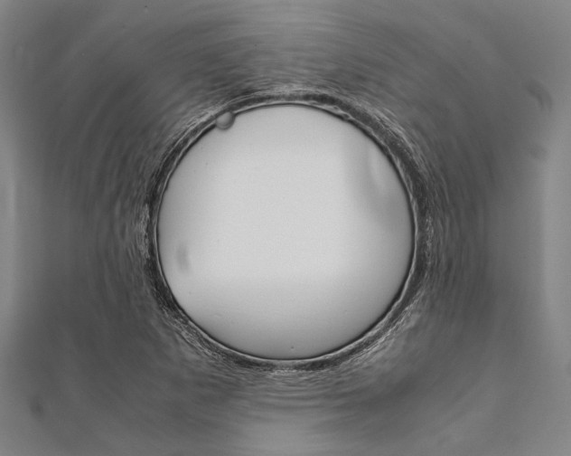 X0000112111265200908041144