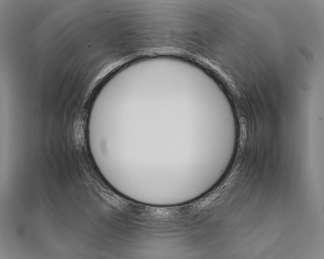 X0000112111266200908041144