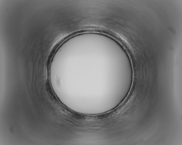 X0000112111267200908041144