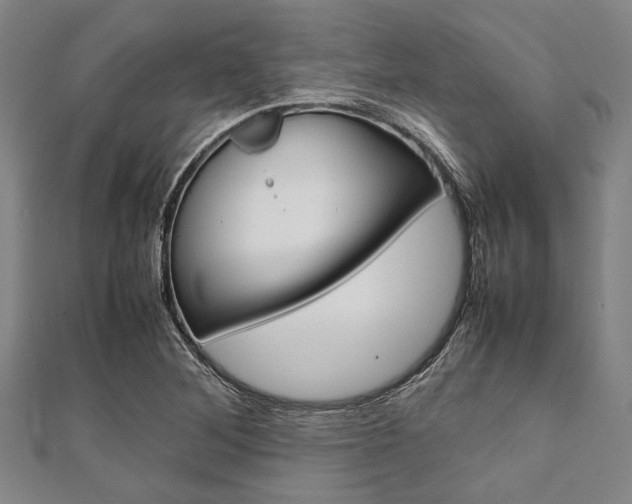 X0000112111268200908041144