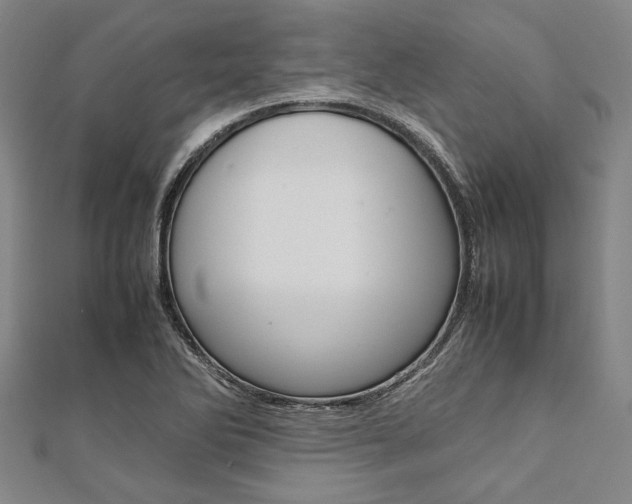X0000112111270200908041144