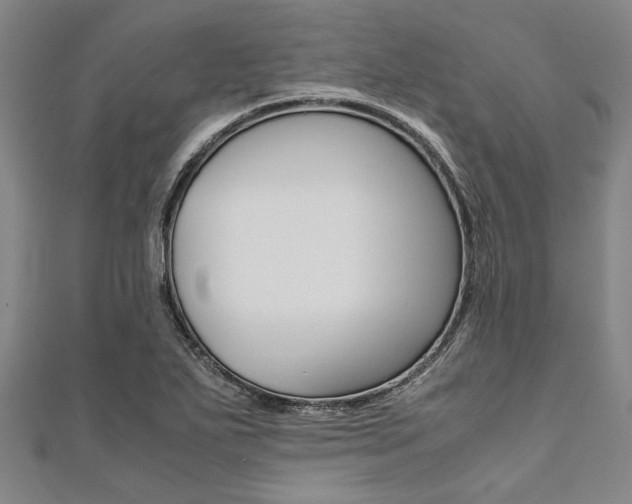 X0000112111271200908041144