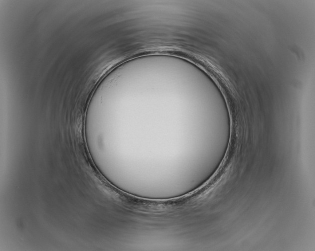 X0000112111273200908041144