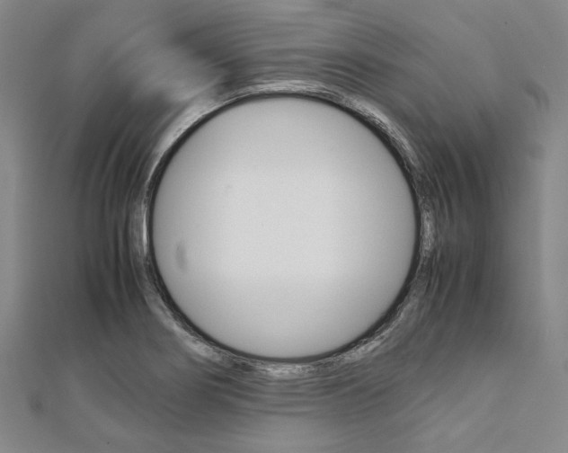 X0000112111274200908041144