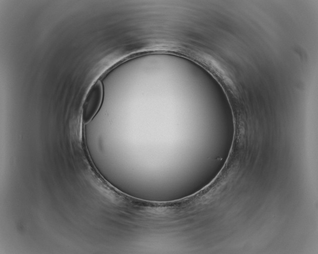 X0000112111276200908041144
