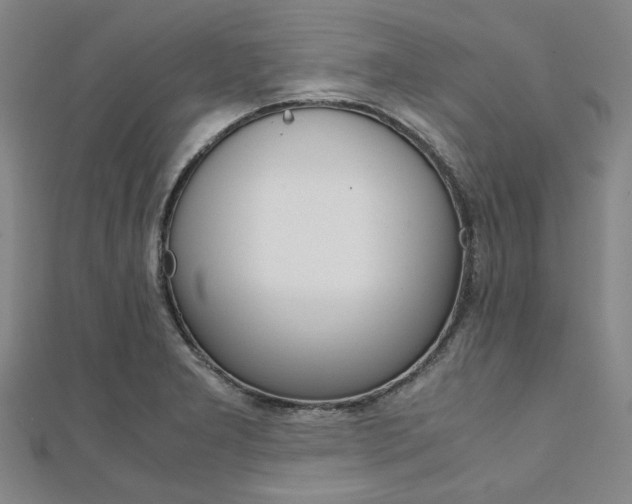 X0000112111277200908041144