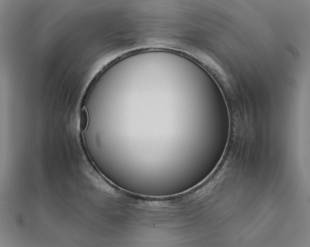 X0000112111280200908041144