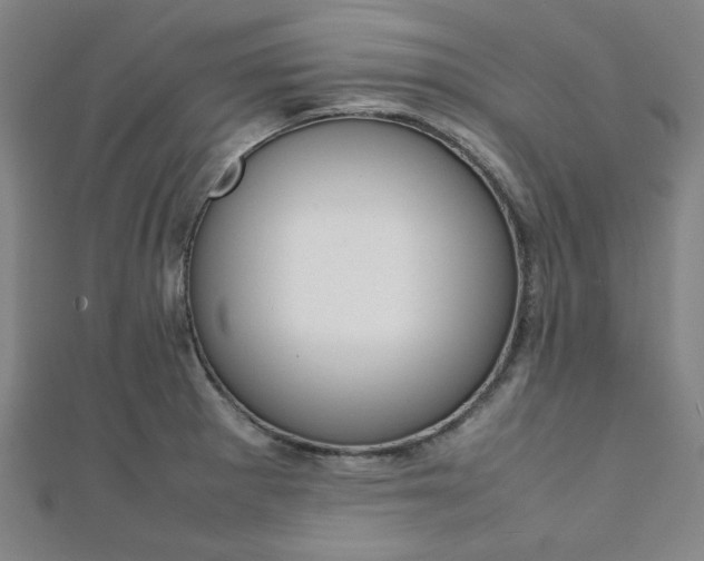 X0000112111281200908041144