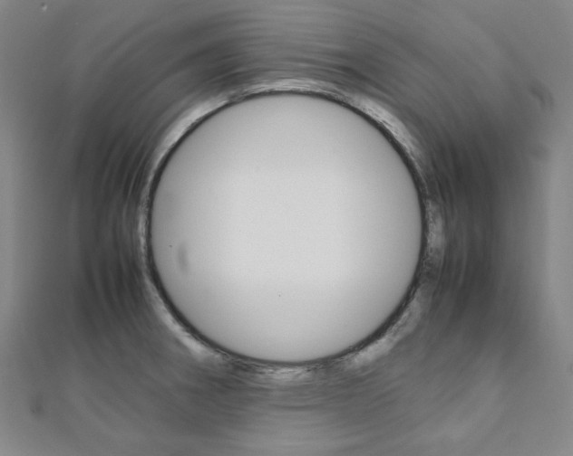 X0000112111282200908041144